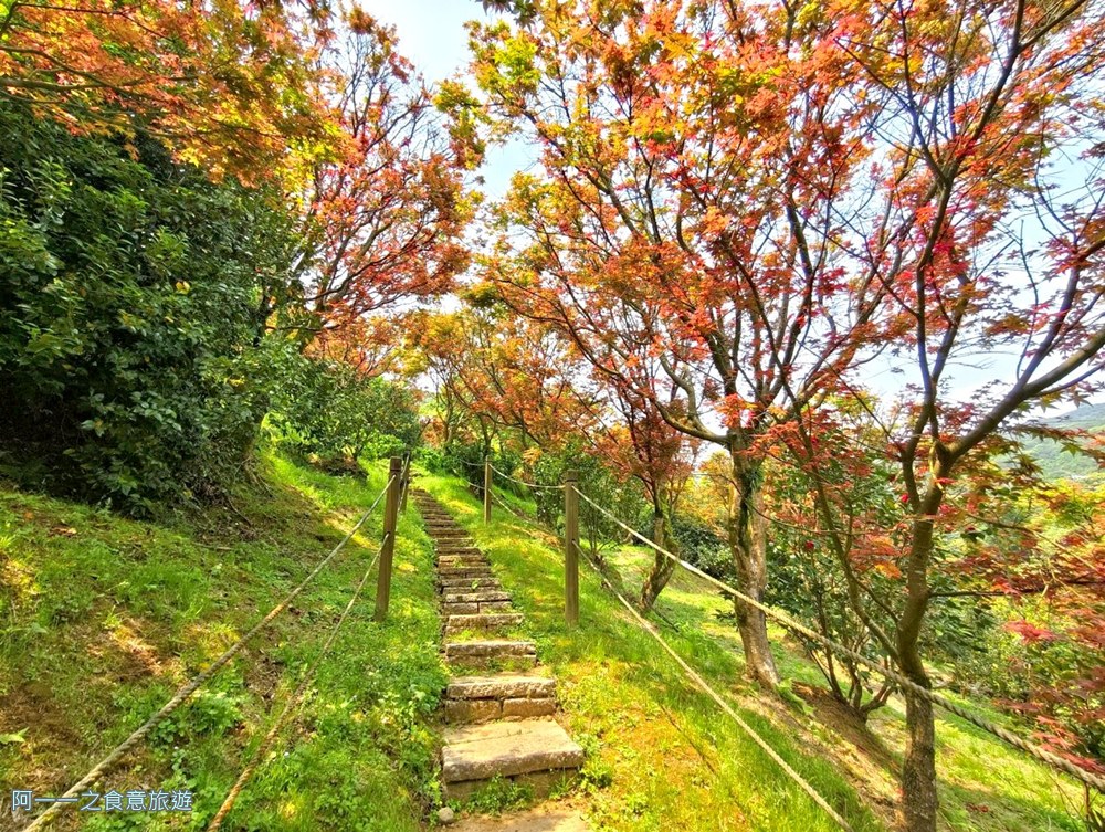 台北奧萬大.陽明山賞楓景點