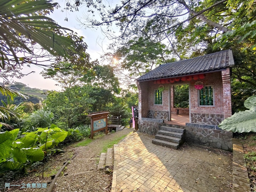 三芝賞桐步道.桐花.三生步道.北海岸秘境