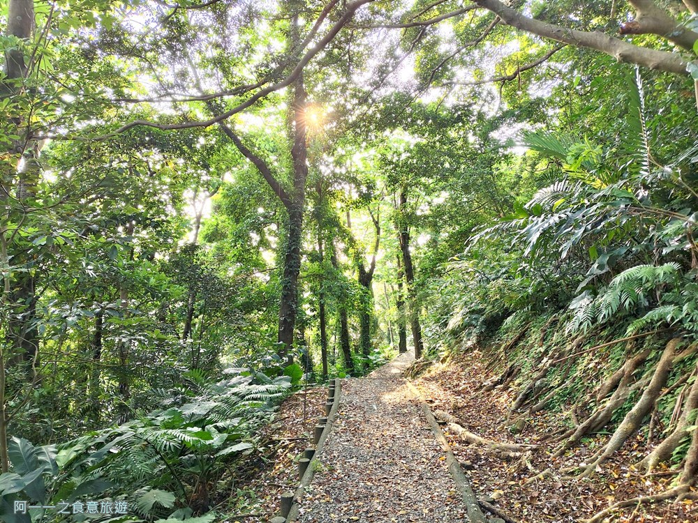 三芝賞桐步道.桐花.三生步道.北海岸秘境