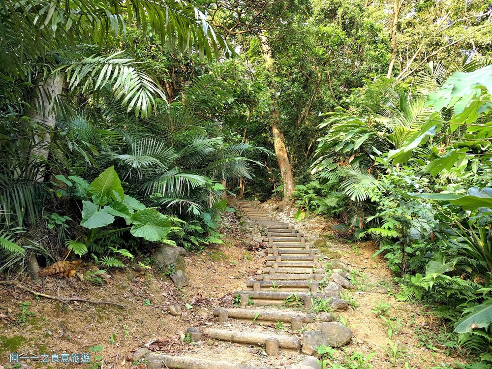三芝賞桐步道.桐花.三生步道.北海岸秘境