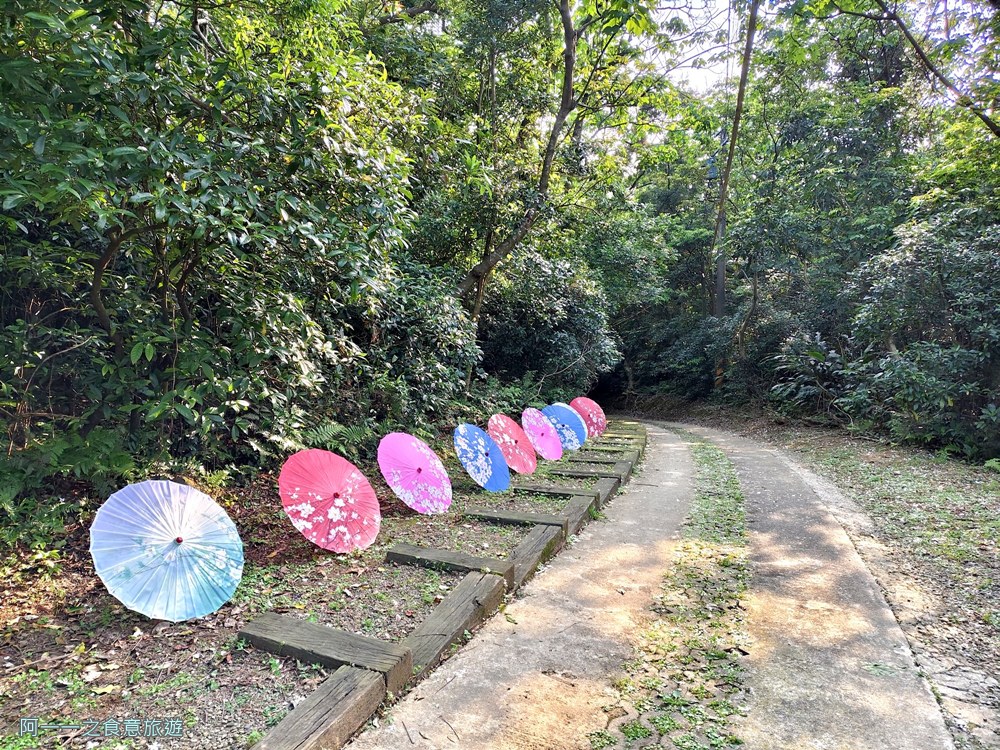 三芝賞桐步道.桐花.三生步道.北海岸秘境