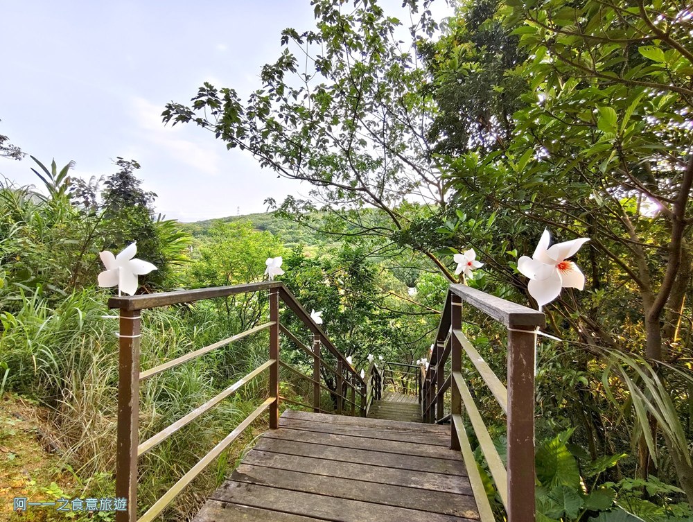 三芝賞桐步道.桐花.三生步道.北海岸秘境