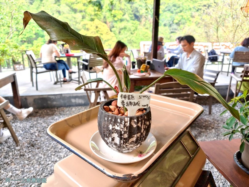 野人花園.陽明山景觀餐廳.台北不限時咖啡廳