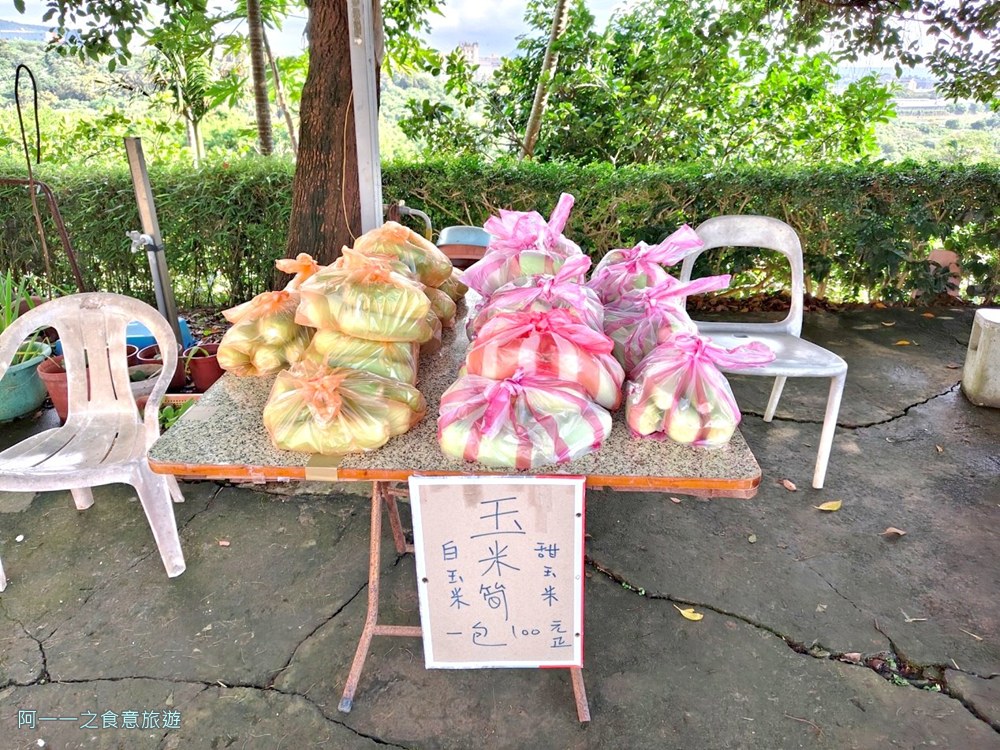 淡水百合花園.北海岸秘境.免費賞花景點